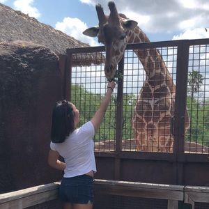 Meet your Posher, Samantha